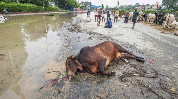 inundatii ucigase india 40 oameni morti aproape 100 disparuti