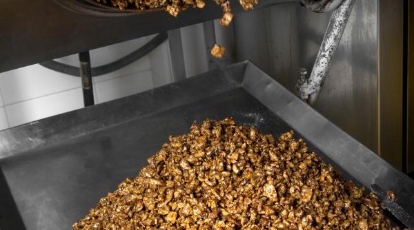 nuci migdale caramelizate desert perfect seri toamna