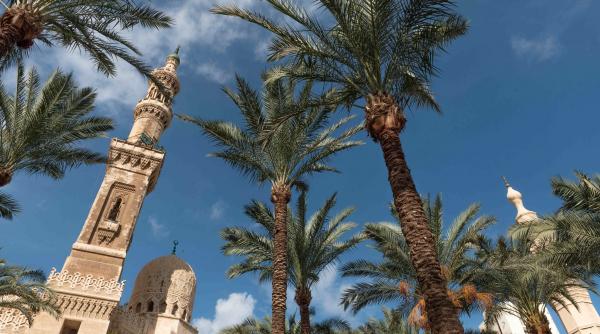 tragedie egipt doi turisti israelieni impuscati mortal