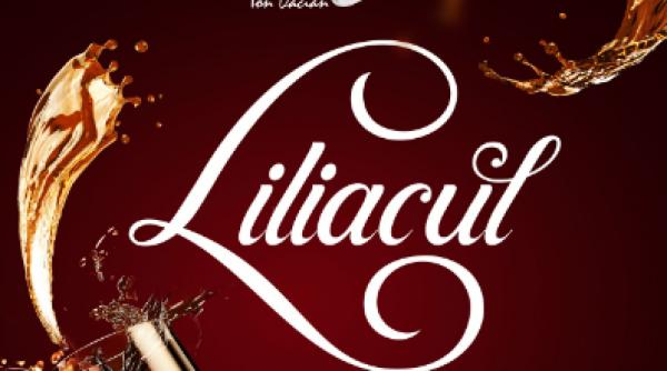 liliacul pierdute sunt doar zilele in care ne a lipsit bucuria in premiera pe scena teatrului national de opereta si musical ion dacian