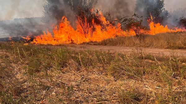 Două drone folosite în intervenția din Vrancea, unde un incendiu a cuprins 15 hectare de vegetație