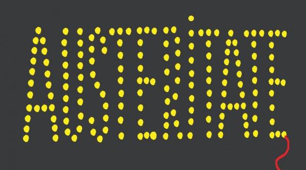 austeritate ciolacu administratii locale luminite craciun