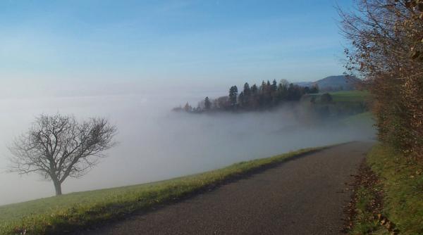 Alertă meteo imediată de fenomene extrem de periculoase în mai multe judeţe din ţară