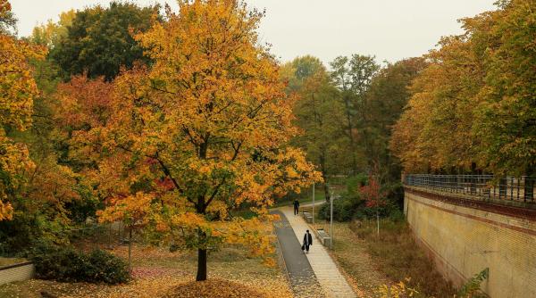 3 beneficii plimbari linistite sanatate