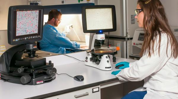 echipamente screening cancer col uterin linii automate citologie hpv colposcop electrocauter