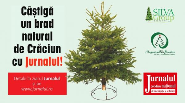 regulamentul campaniei castiga un brad natural de craciun cu jurnalul