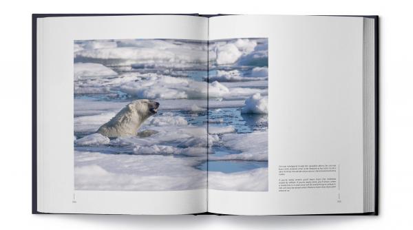 rares besliu album fotografic emotiile animalelor