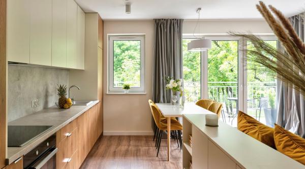 mobila pentru bucatarie open space conectata cu living ce factori ar trebui sa iei in considerare la alegerea sa