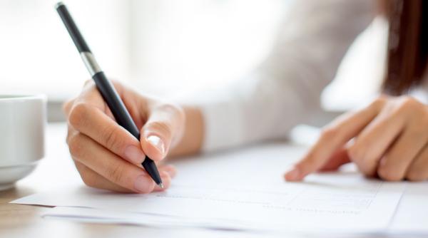 cv primari institutii publice declaratie avere mandat