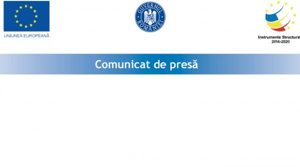 finalizarea proiectului diversificarea activitatii companiei auto smart activ srl