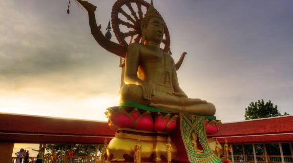 5 invataturi budiste utile lumea moderna