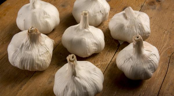 10 greseli folosire presa usturoi