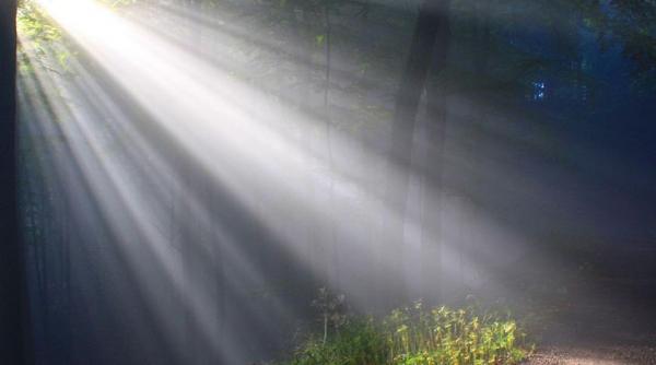 ferma dacilor mesaj dupa tragedie craciun murit oameni iubim din tot sufletul