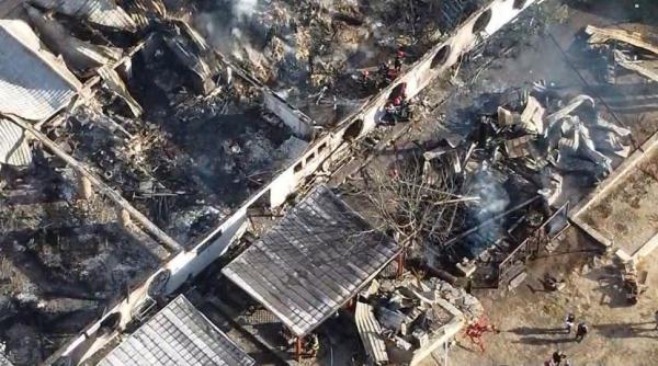 fragmente osoase incendiu ferma dacilor expertiza