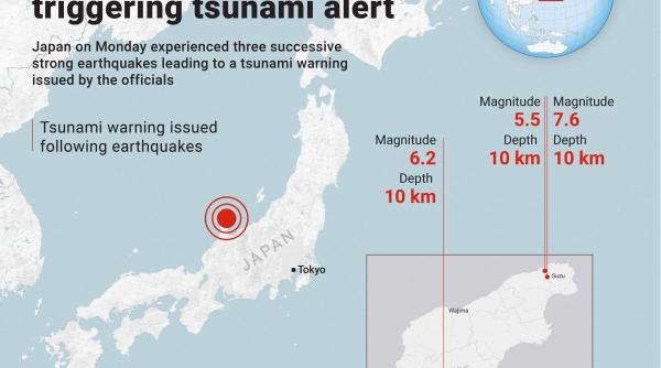cutremur japonia tsunami cladiri prabusite victime