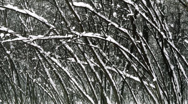 alerta imediata vant puternic sase judete transilvania