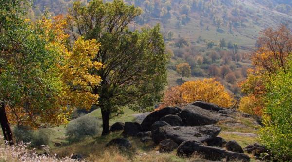 loc poveste preferat romani 2023 spectacol natura