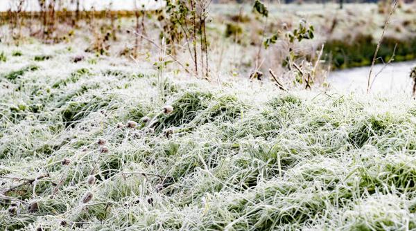 prognoza ianuarie februarie 2024 frig crapa pietrele romania