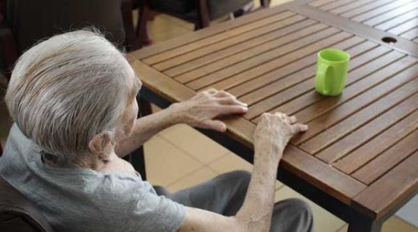 ingrijire pnrr dizabilitati