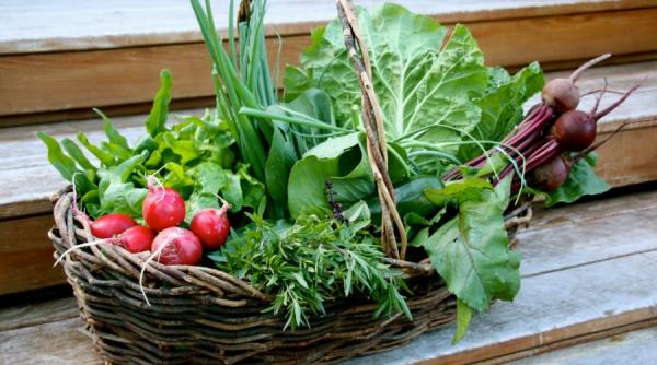 suc telina bun sanatate 6 beneficii organism