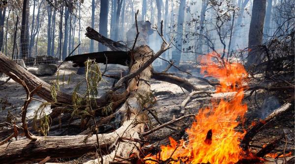 pompieri incendii australia vest