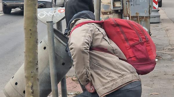 cersetori primarie seringi nicusor dan adaposturi