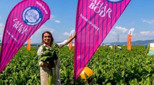 mihaela neagu actionarul fabricilor zahar bod ludus contracte sfecla zahar 2024