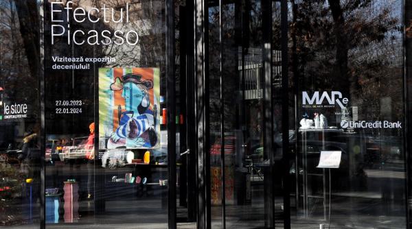 ultimele 7 zile cu efectul picasso la mare muzeul de arta recenta