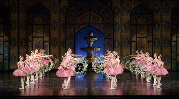 corsarul inimilor inlantuite pasiune si obsesie in vechiul adrianopole