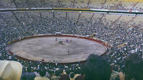 proteste amploare lupta tauri mexico city