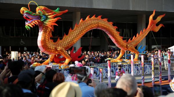 2024 an dragon lemn semnificatii personalitate