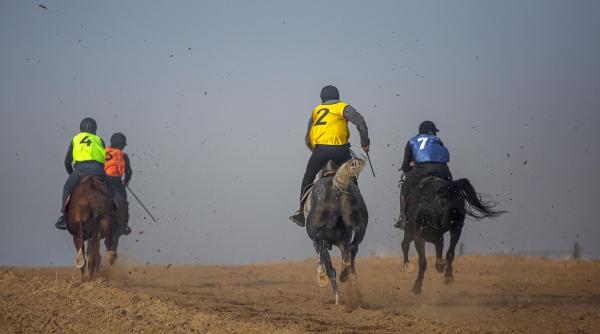 jocheu mort cursa cai anglia