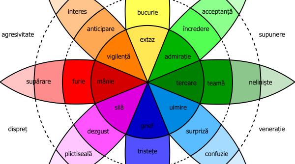 emotii sentimente acceptare teama furie