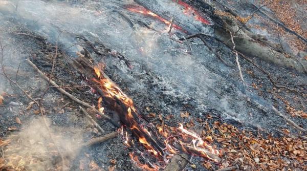 incendiu vegetatie vrancea