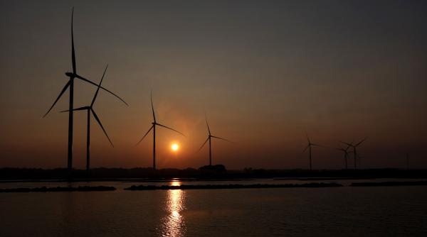 proiecte emitere obligatiuni verzi