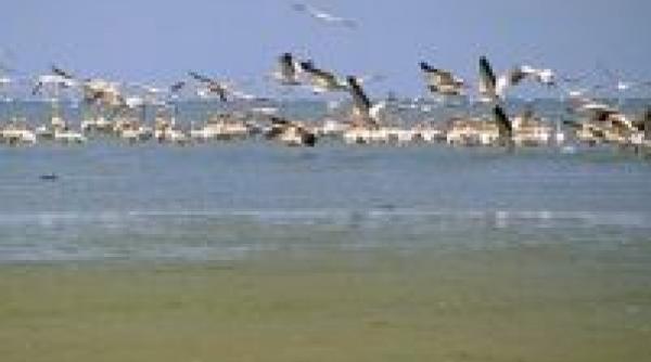 turisti delta raport