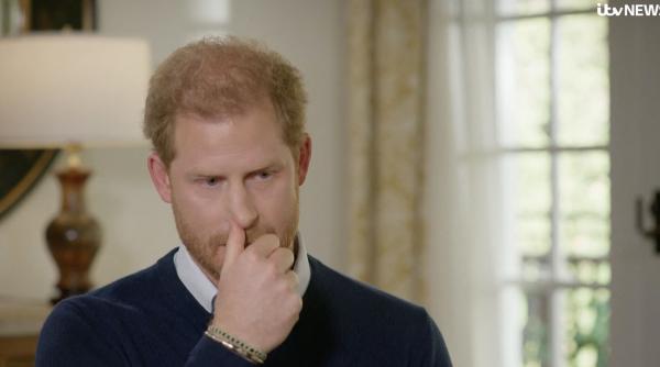 printul harry cancer regele charles