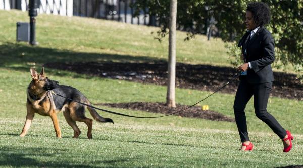 spaima casei albe caine biden muscat secret service