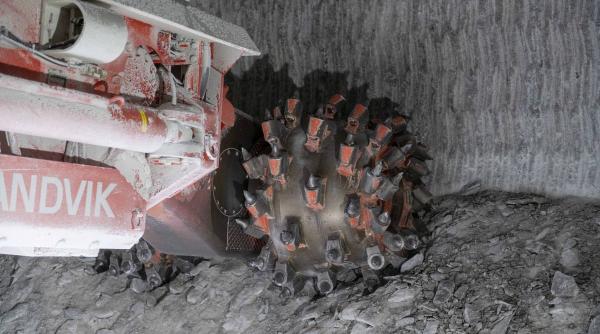 fake news sare salrom listare bursa