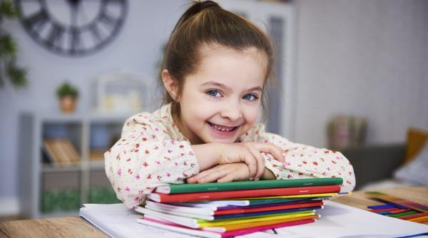 forma corecta plural hotel virus moneda vis