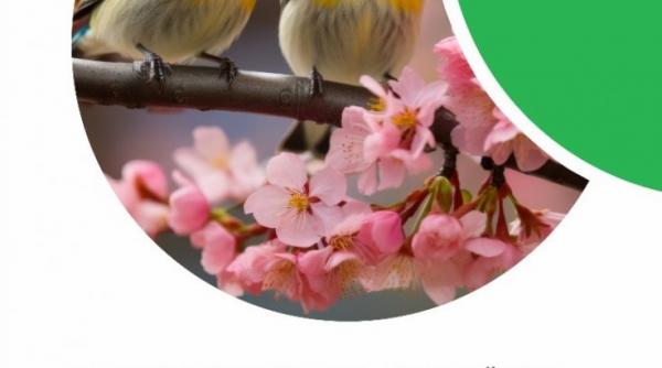 rezultate loto 6 49 10 martie 2024 joker azi tragerile speciale loto primaverii