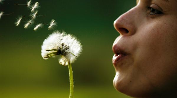 cum afecteaza luna in taur fiecare semn zodiacal