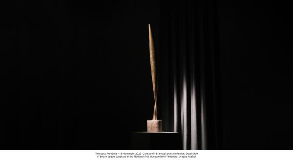 jidvei vinul oficial vernisajului expozitie brancusi paris