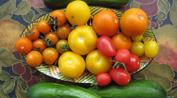 rosia banana buzau cat costa rasadul