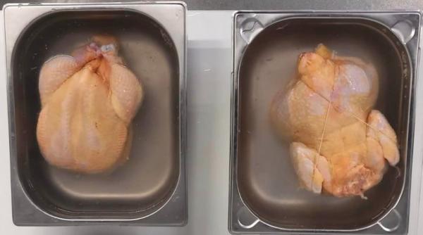 anpc controale producatori pui