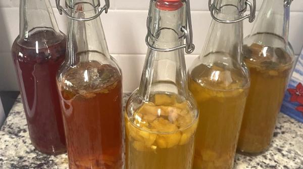 kombucha 5 beneficii sanatate