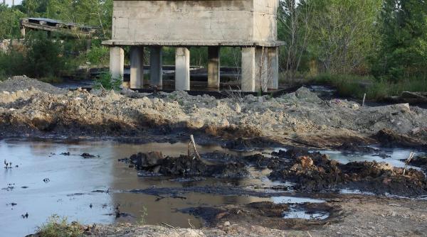 poluare paraul peta oradea