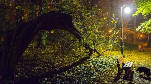 alerta imediata cod galben vant puternic sase judete