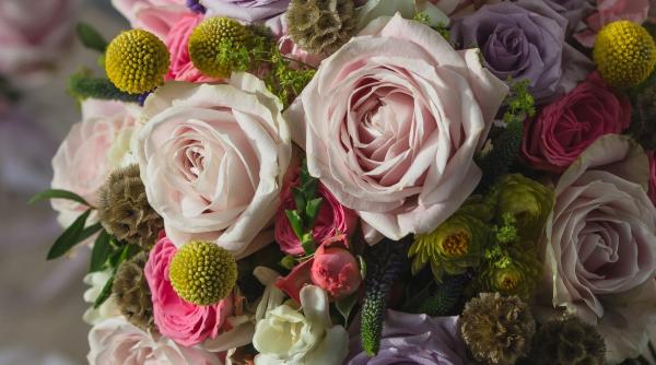 ce flori sa daruiesti in functie de personalitate