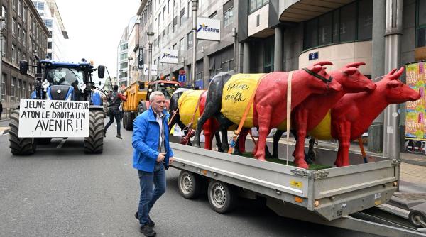 fermier decizie norme protectie limite import cereale